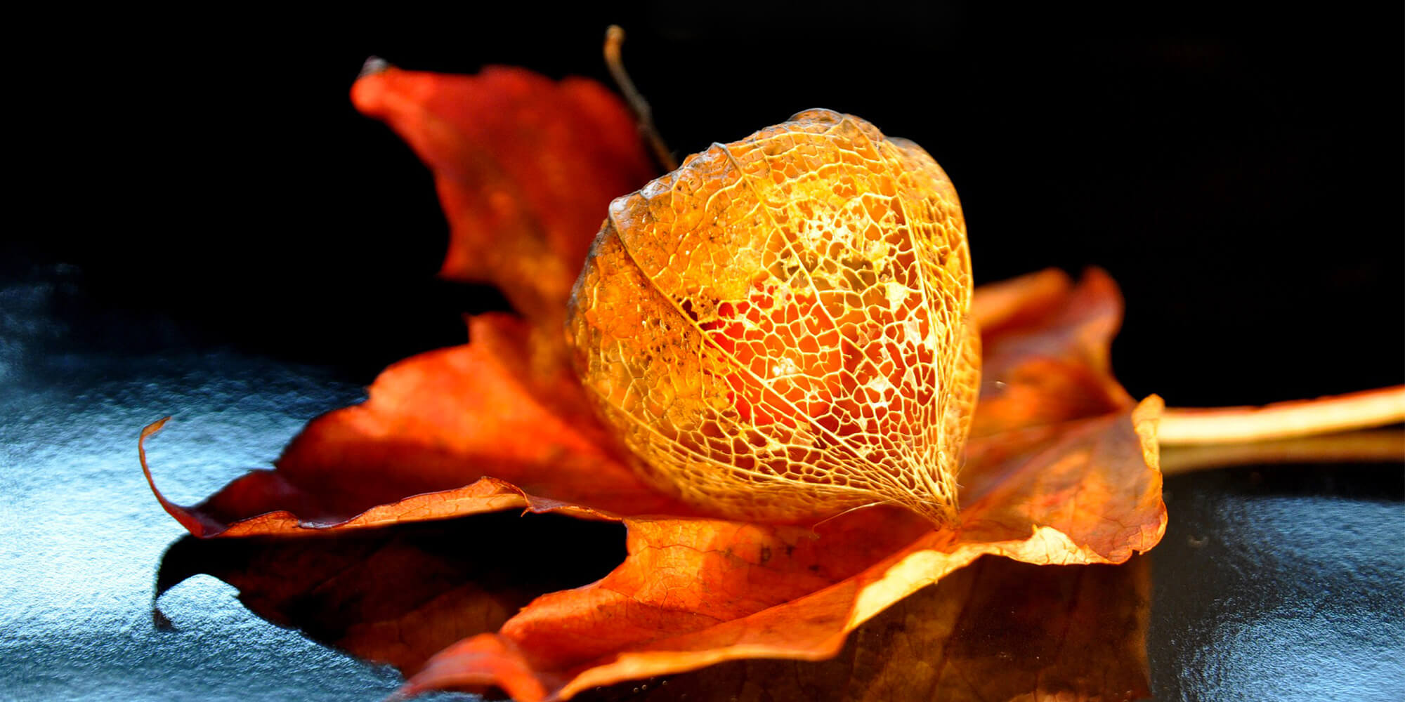 illustration actualité