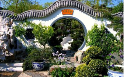 Reprise des cours et atelier découverte aux Buclos